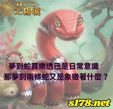 看到蛇代表什麼預兆|【看到蛇代表】看到蛇代表好運還是厄運？解密「蛇」的象徵意義。